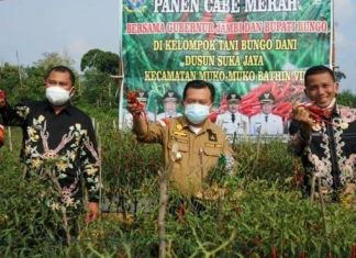 Gerakan Tanam Satu Juta Batang Cabai
