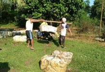 Duh! Harga Karet kembali Turun