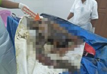 Penemuan Mayat Pelepat, Dokter Jeri: Diprediksi Sudah Lebih dari Dua Minggu