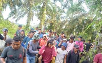 Empat Hari Hilang, Nenek Haminah Ditemukan Selamat