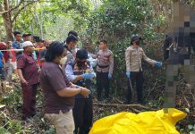 Jasad Pria Tergantung Dikebun Karet Hebohkan Warga Tanah Priuk Bungo