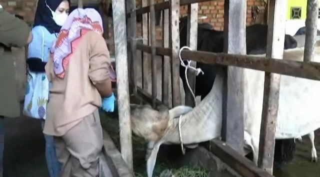 VIDEO BERITA.wmv_snapshot_00.01