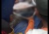 Petani Karet di Tanjab Barat Dimakan Ular