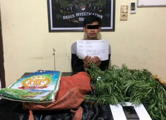 Pengedar Ganja Diciduk Sat Res Narkoba