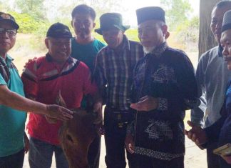 Bupati Mashuri Sambut Ramadhan 1444 H Bersama PKJM