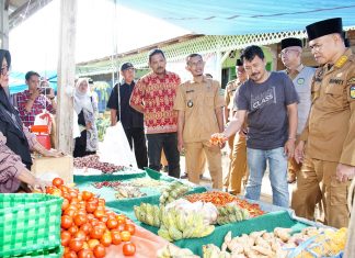 Jelang Idul Fitri, Aspan Sidak Harga Kebutuhan Pokok di Pasar Sukamaju Rimbo Ulu