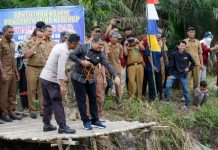 Bupati Mashuri Panen Ikan Bersama Warga SAD di Pelepat