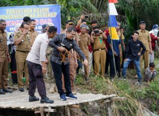 Bupati Mashuri Panen Ikan Bersama Warga SAD di Pelepat