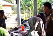 Pj Bupati Muaro Jambi Sidak Pasar Pastikan Harga dan Stok Stabil