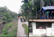 Warga Dusun Makmur Tungkal I Rindukan Aliran Listrik PLN