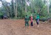 TMMD ke-117 Kodim 0416/Bute Buka Akses Jalan Urat Nadi Perekonomian Masyarakat