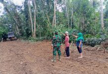 TMMD ke-117 Kodim 0416/Bute Buka Akses Jalan Urat Nadi Perekonomian Masyarakat