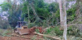 Alat Berat TMMD Tanpa Henti Setiap Hari Beroperasi Kejar Sasaran Fisik Pembukaan Jalan Baru