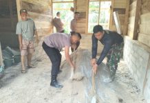 TNI-Polri Solid Selesaikan Sasaran Fisik TMMD ke-117 Kodim 0416/Bute