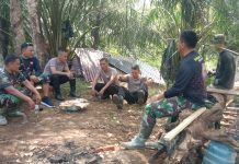 TMMD ke-117 Kodim 0416/Bute: Sinergi Lintas Sektoral Mewujudkan Kemanunggalan TNI-Rakyat Semakin Kuat