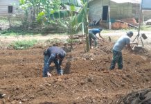 Satgas TMMD ke-117 Kodim 0416/Bute Manfaatkan Lahan Kosong untuk Berkebun