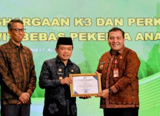 PJ Bupati Bachril Bakri Terima Penghargaan K3 dan Perkebunan Kelapa Sawit Bebas Pekerja Anak