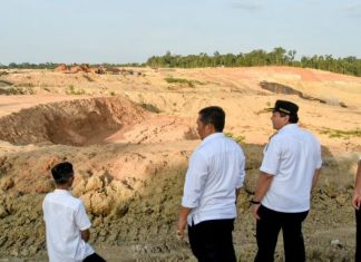 PJ Bupati Bachril Bakri Sidak Tambang Batubara PT AJC di Kecamatan Pauh