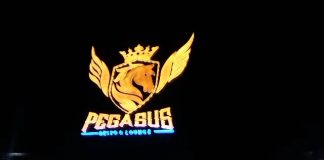 Kasat Pol PP Bungo Khaidir Yusuf Tegaskan Pegasus Melanggar Ketentuan Perda