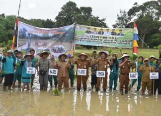 PJ Bupati Bachril Bakri Tanam Padi Sawah Varietas IPB 3 Sakti Bersama Siswa SMKN 7 Sarolangun
