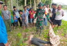 Heboh Penemuan Mayat Dalam Karung Tanpa Kepala di Sungai Batang Tebo