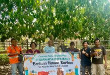 PT KIM dan PT CK Salurkan Bantuan 10 Ekor Hewan Kurban Sapi dan Kambing ke Warga
