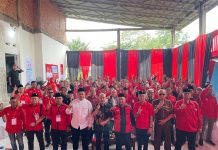 Konsolidasi PDI Perjuangan, Banteng Tegak Lurus Menangkan 01 Dedy-Dayat