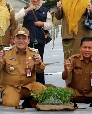 Bachril Bakri Lakukan Gerakan Tanam Cabe Merah Bersama Poktan Sako Mandiri