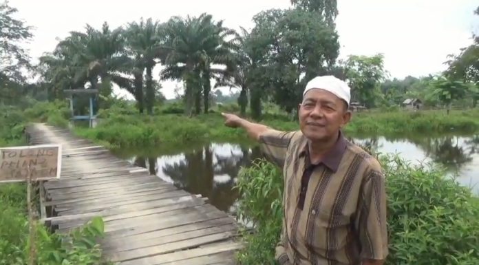 Saluran Irigasi Terbengkalai di Desa Senaung Dinilai Mubazir