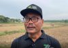 UMK Batanghari Naik, Besaran UMK Capai Rp 3,2 Juta
