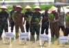 Bupati Muaro Jambi Hadiri Gerakan Tanam Padi Serentak untuk Ketahanan Pangan