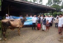 Usai Shalat Idul Adha, Wabup Junaidi Mahir Salurkan Hewan Kurban di Jambi Kecil