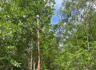 Perkuat Sistem Kelistrikan Riau, PLN dan BPN Verifikasi Lahan GI 150 kV Bengkalis