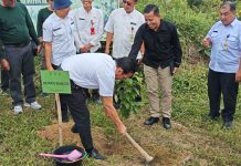 HUT Jambi ke-69 Jadi Momentum Hijau, Pemkab Bungo Tanam Ribuan Pohon