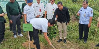 HUT Jambi ke-69 Jadi Momentum Hijau, Pemkab Bungo Tanam Ribuan Pohon