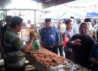 Sekda Muaro Jambi Dampingi Bapanas Sidak Pasar Sengeti Jelang Ramadhan