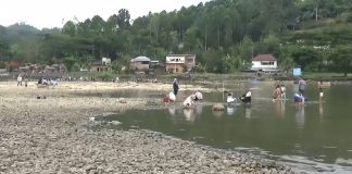 Air Danau Kerinci Menyusut Drastis, Warga Ramai Datang Melihat Langsung