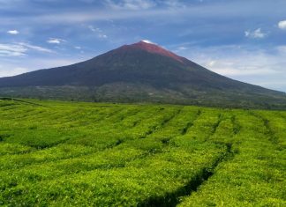 Opini : Anak Kerinci di Persimpangan Layar HP dan Buku Pelajaran