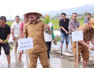 Bupati Kerinci Monadi Pimpin Gerakan Tanam Padi Serentak di Siulak, Dorong Peningkatan Produksi dan Ketahanan Pangan Daerah