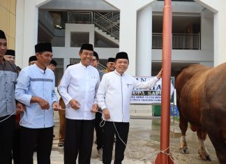 Iduladha 1447 H, Gubernur Al Haris Serahkan Sapi Kurban Presiden Prabowo Seberat 930 Kilogram