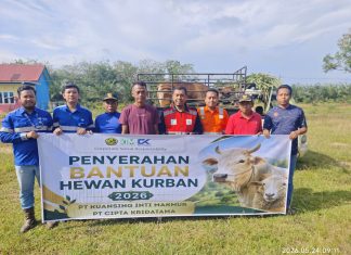 PT KIM Salurkan Bantuan Hewan Kurban untuk Masyarakat Lingkar Tambang dan Pemkab Bungo