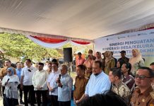 PLN Perkuat Dukungan Program KDKMP melalui Kolaborasi Layanan Kelistrikan